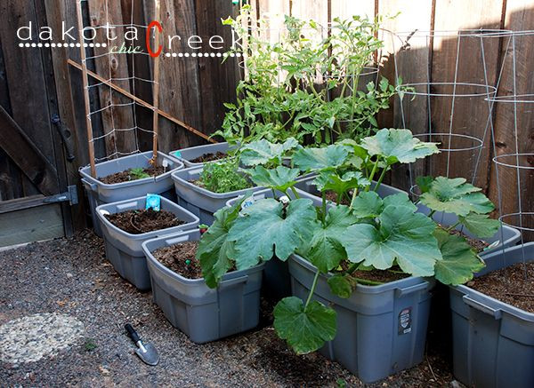 Best ideas about Container Vegetable Garden Ideas
. Save or Pin 25 best Container ve able gardening ideas on Pinterest Now.