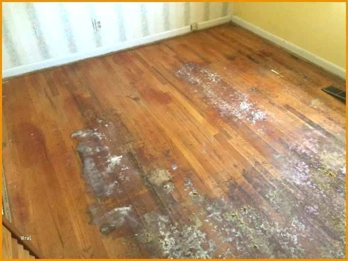 Best ideas about Cost To Refinish Hardwood Floors DIY
. Save or Pin How To Sand And Refinish Hardwood Floors Refinishing Now.