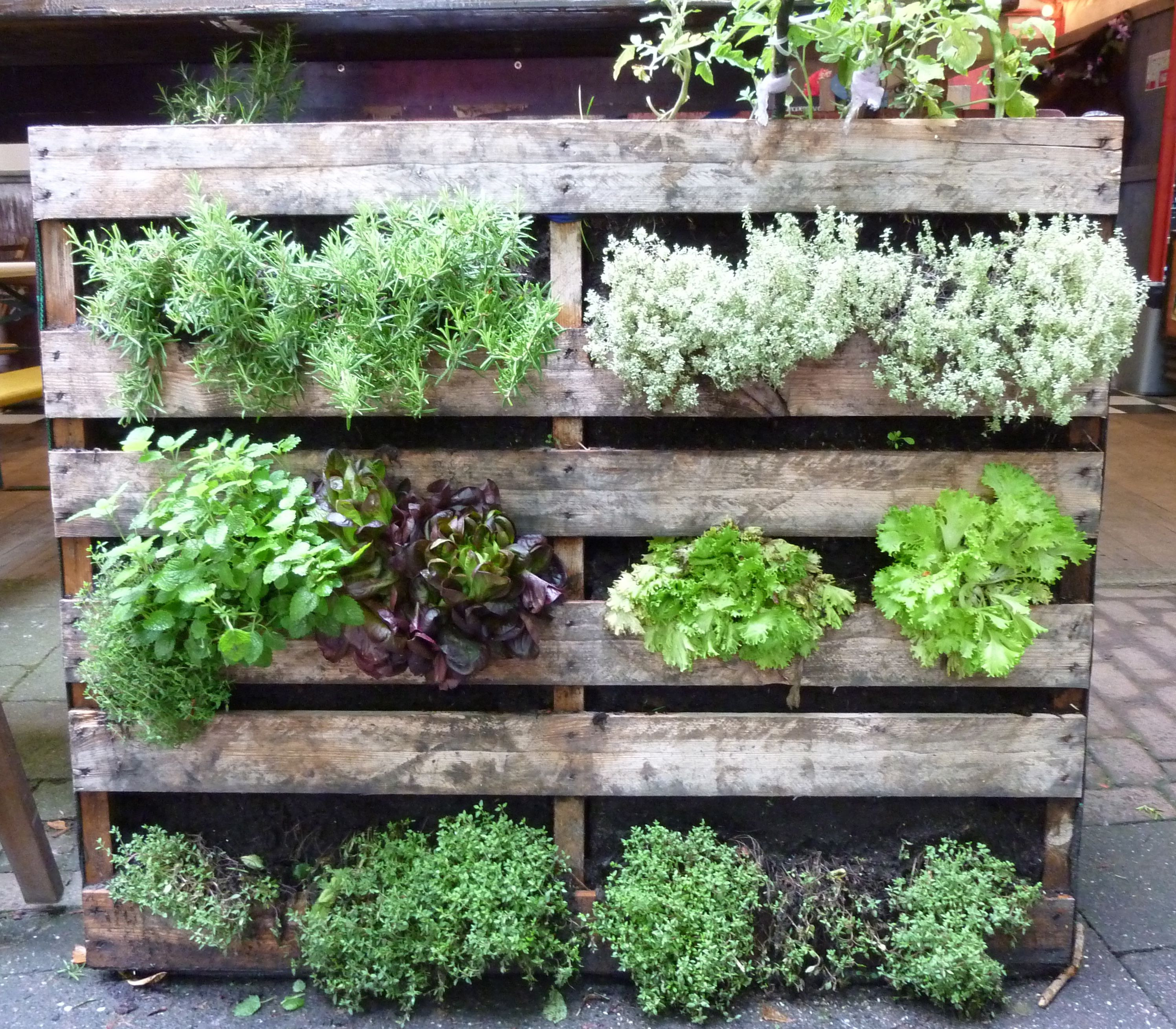 Best ideas about Creative Garden Ideas
. Save or Pin 10 Creative Ve able Garden Ideas Now.