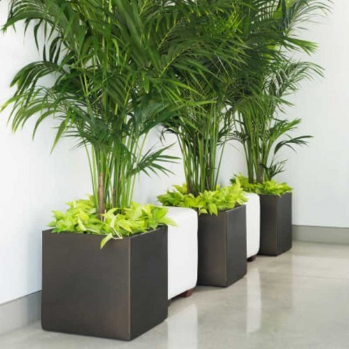 Best ideas about Crescent Garden Planters
. Save or Pin Crescent Garden Pandora Planter ePlanters Now.