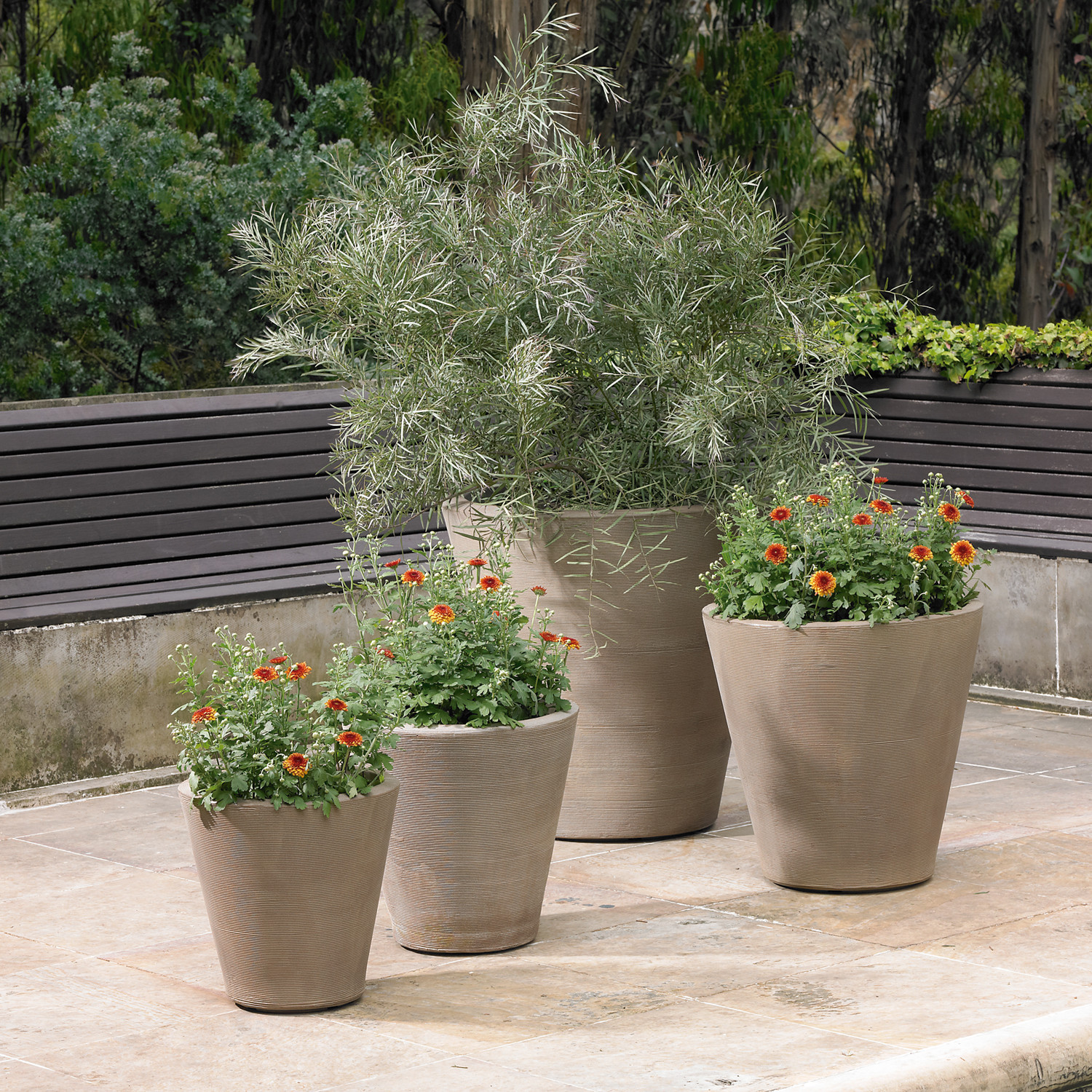 Best ideas about Crescent Garden Planters
. Save or Pin Madison Planter Mocha 26" Crescent Garden Touch Now.