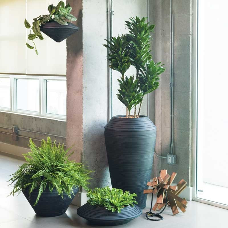 Best ideas about Crescent Garden Planters
. Save or Pin Crescent Garden Daniel Hanging Planter ePlanters Now.