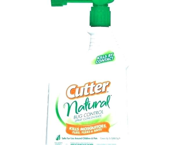 Best ideas about Cutter Backyard Bug Control Safe For Pets
. Save or Pin cutter backyard bug control spray – MacieJczyzewski Now.