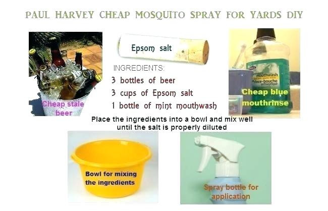 Best ideas about Cutter Backyard Bug Control Safe For Pets
. Save or Pin cutter backyard bug control spray – MacieJczyzewski Now.