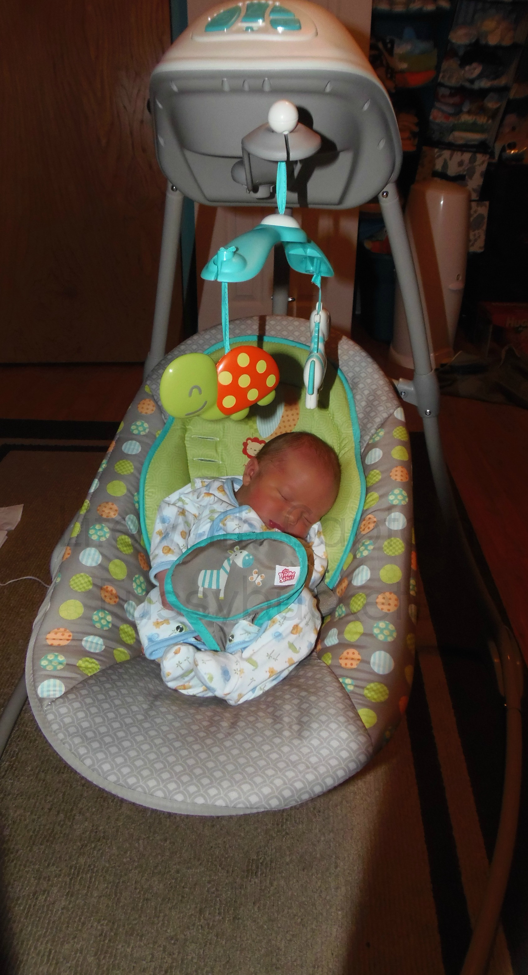 Best ideas about Dead Baby Swing
. Save or Pin Baby Brother Loves His Bright Starts Baby Swing Now.