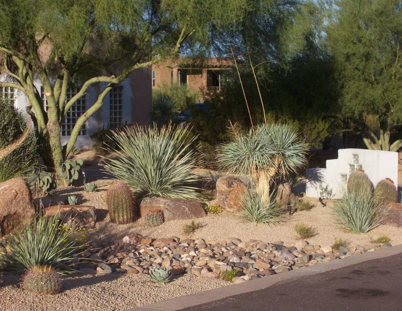 Best ideas about Desert Garden Ideas
. Save or Pin BACKYARD LANDSCAPING IDEAS LANDSCAPING IDEAS Now.