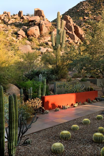 Best ideas about Desert Garden Ideas
. Save or Pin Desert Garden Design Ideas Now.