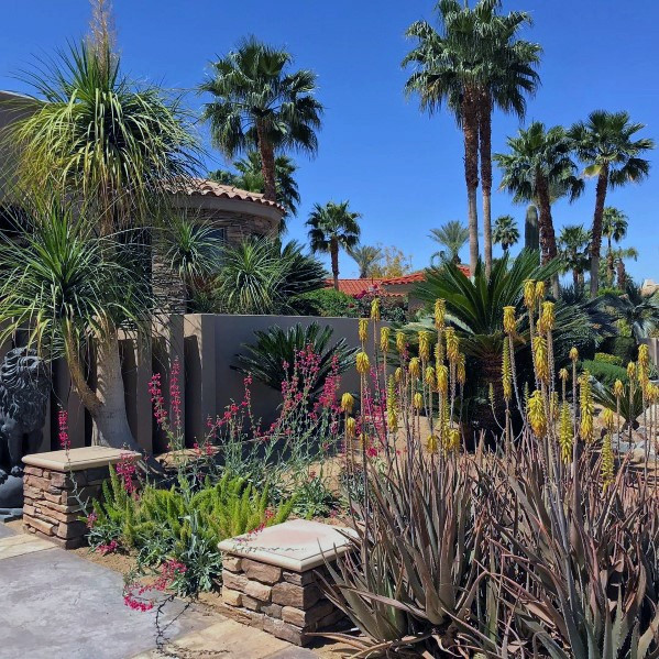 Best ideas about Desert Garden Ideas
. Save or Pin Top 70 Best Desert Landscaping Ideas Drought Tolerant Plants Now.