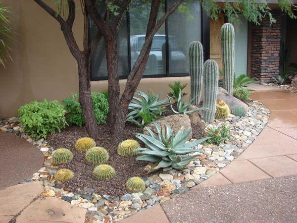 Best ideas about Desert Garden Ideas
. Save or Pin 602 best Desert Landscaping images on Pinterest Now.