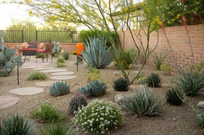 Best ideas about Desert Garden Ideas
. Save or Pin Backyard Desert Landscaping Desert Landscaping For Your Now.