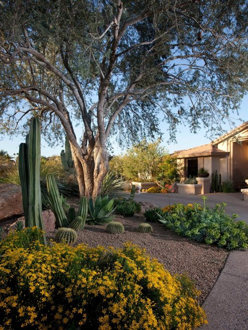 Best ideas about Desert Garden Ideas
. Save or Pin Backyard Desert Landscaping Home Design Ideas Now.