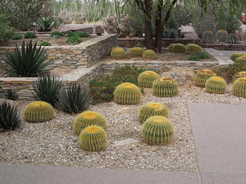 Best ideas about Desert Garden Ideas
. Save or Pin Desert Landscaping How To Create Fantastic Desert Garden Now.