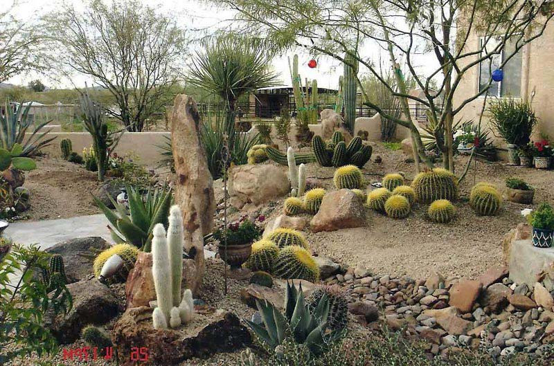 Best ideas about Desert Garden Ideas
. Save or Pin Inexpensive landscaping ideas for the outstanding results Now.