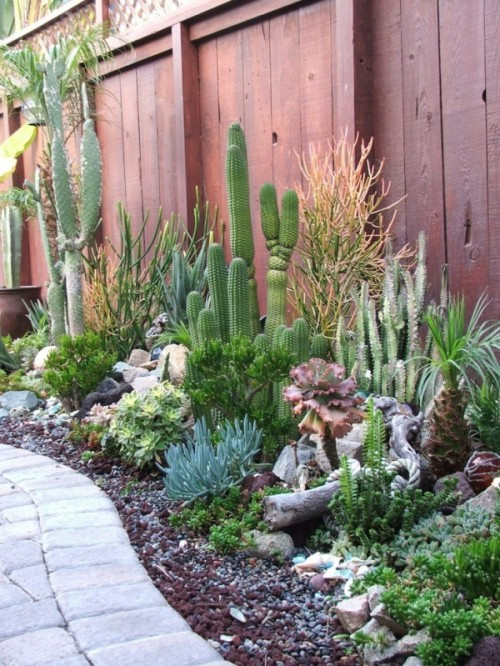 Best ideas about Desert Garden Ideas
. Save or Pin 30 Trendy And Beautiful Desert Garden Décor Ideas Now.