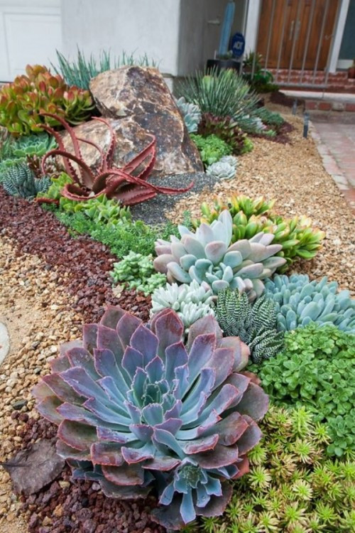 Best ideas about Desert Garden Ideas
. Save or Pin 30 Trendy And Beautiful Desert Garden Décor Ideas Now.