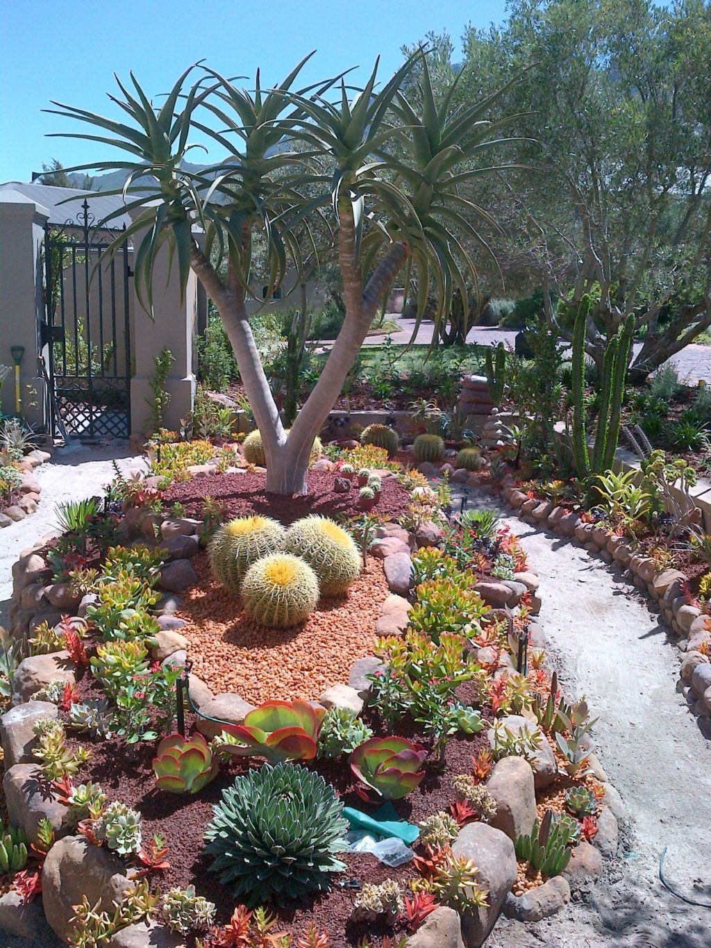 Best ideas about Desert Garden Ideas
. Save or Pin Get the Oasis for Your Home with These Amazing Desert Now.