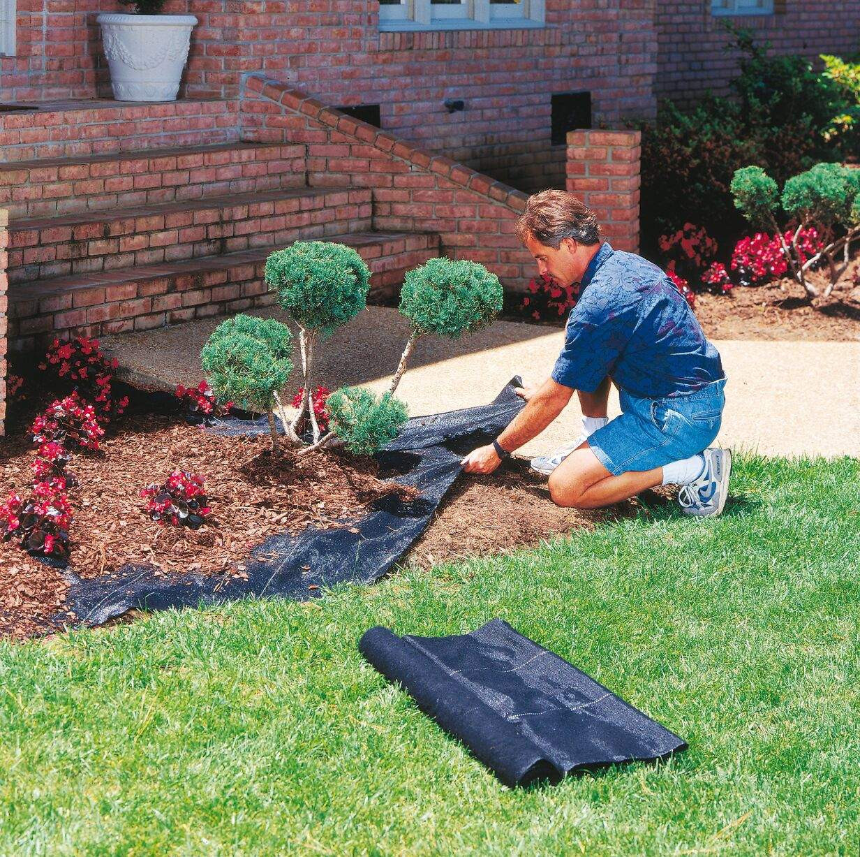 Best ideas about Dewitt Landscape Fabric
. Save or Pin DeWitt EL 5YR350 Earthline Essentials 3 x 50 Foot 5 Year Now.