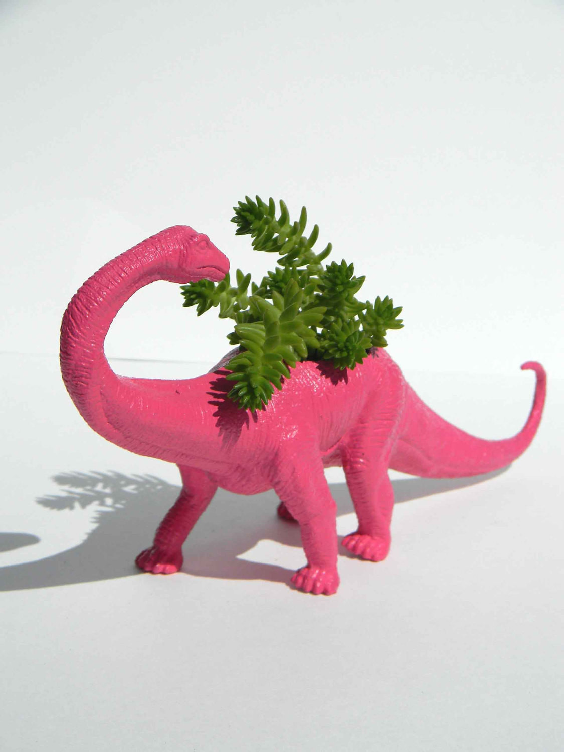 Best ideas about Dinosaur Succulent Planter
. Save or Pin Dinosaur Planter Bubble Gum Pink Add Your Own Succulent Plant Now.