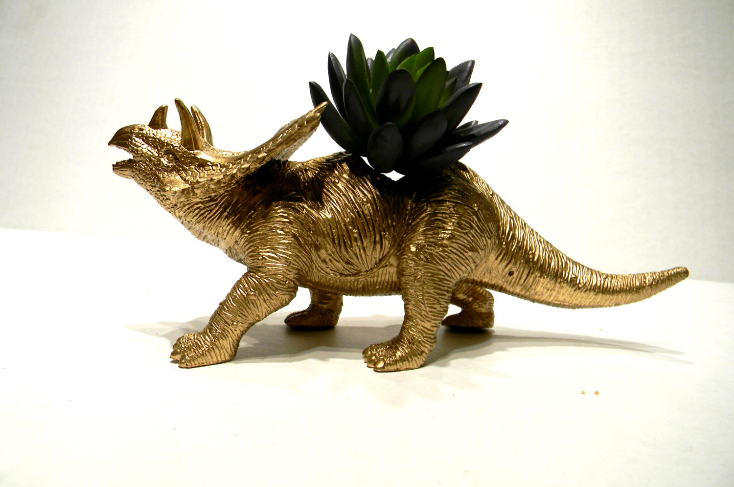 Best ideas about Dinosaur Succulent Planter
. Save or Pin Dinosaur Planter Painted Gold for Succulent Plants by Now.