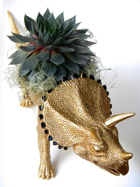 Best ideas about Dinosaur Succulent Planter
. Save or Pin Dinosaur Succulent Planter Gold Triceratops Animal by Now.
