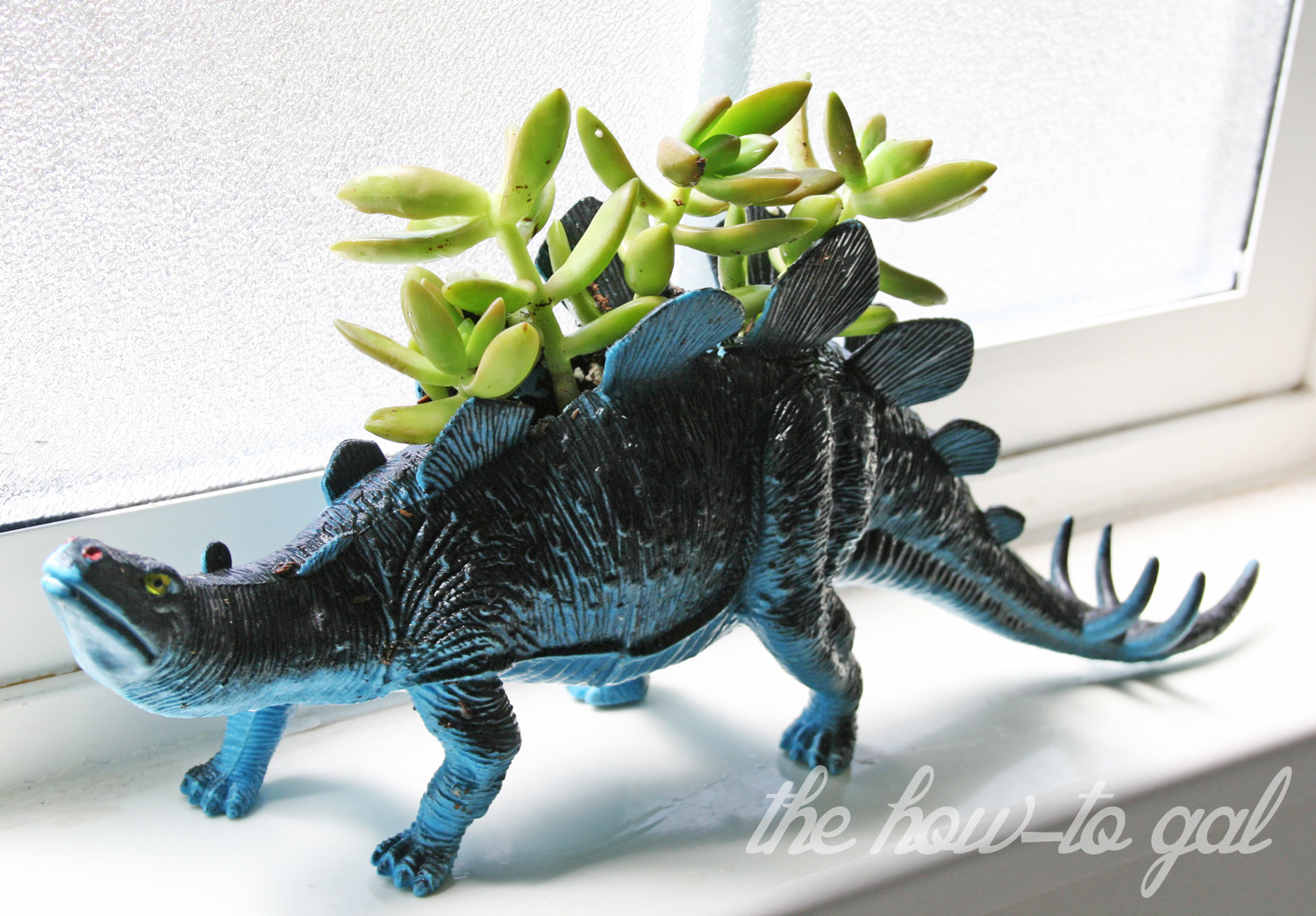 Best ideas about Dinosaur Succulent Planter
. Save or Pin The How To Gal DIY Dinosaur Succulent Planter Now.