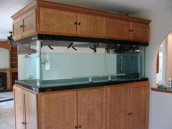 Best ideas about DIY 55 Gallon Aquarium Stand Plans
. Save or Pin PDF Diy 55 Gallon Fish Tank Stand Plans DIY Free Wood Now.