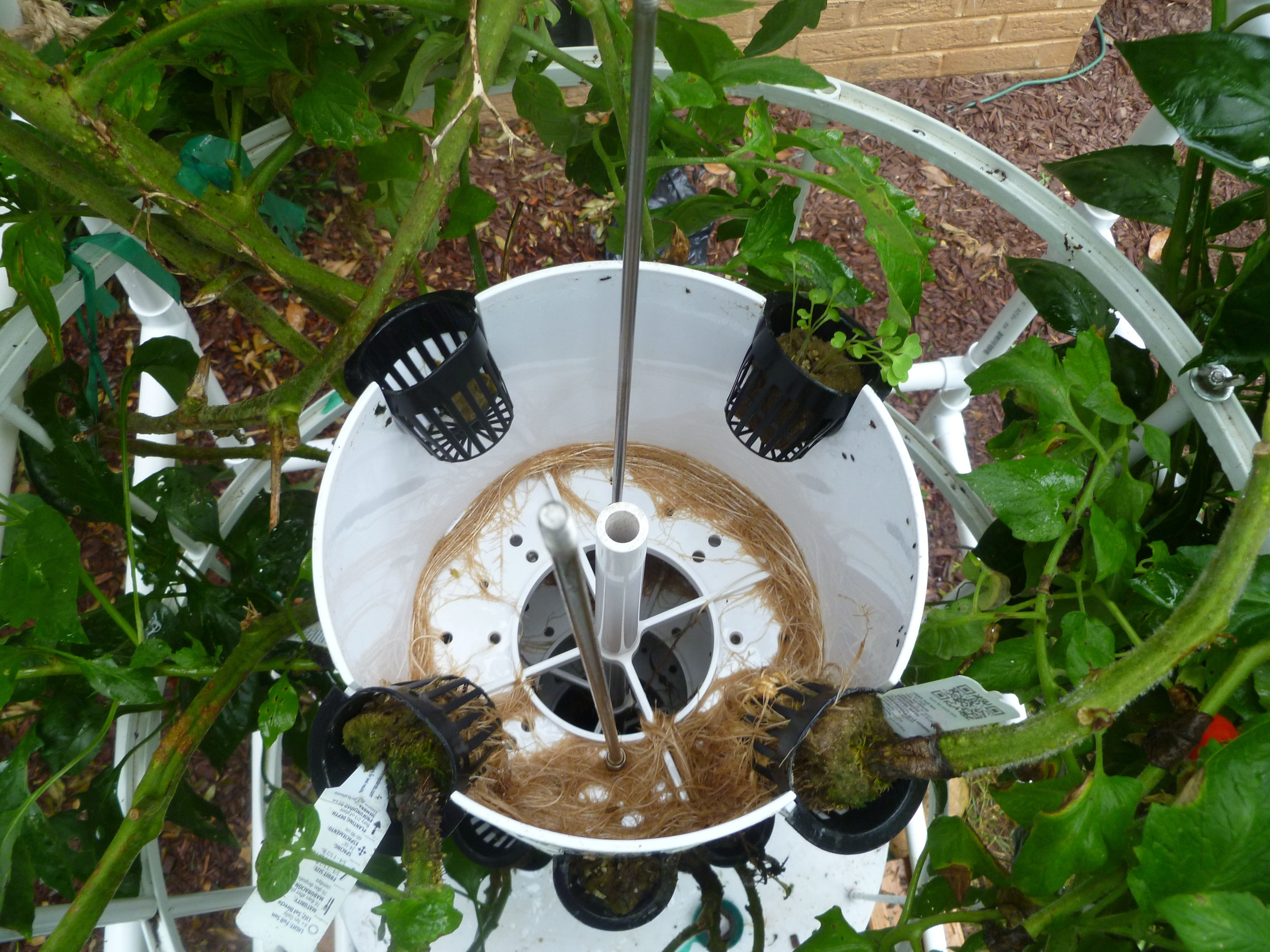 Best ideas about DIY Aeroponic Tower Garden
. Save or Pin Tower Garden Now.