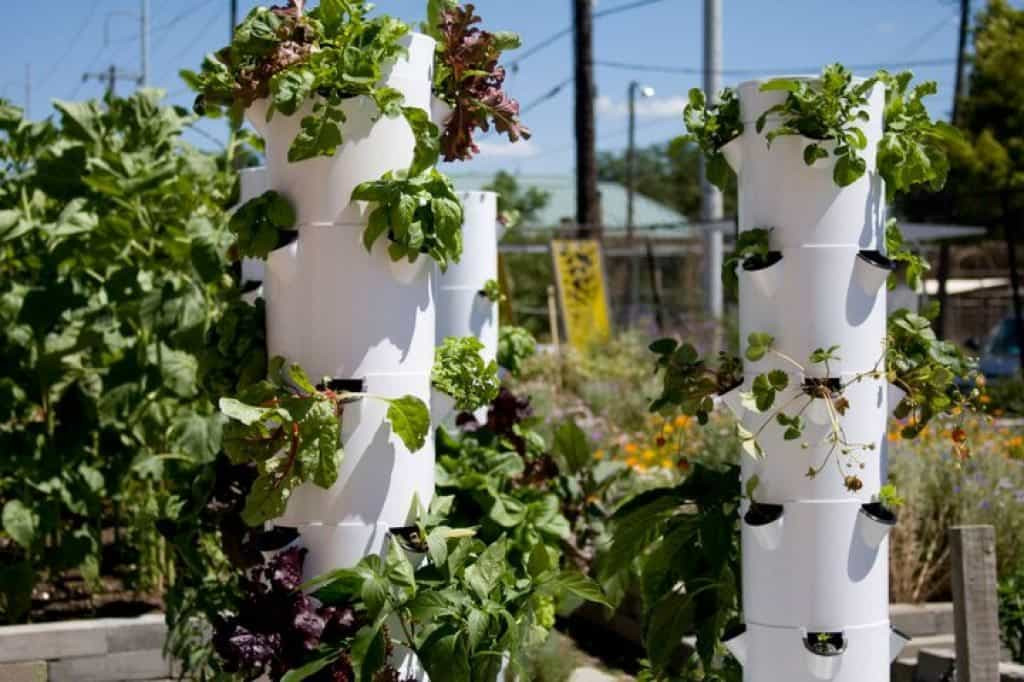 Best ideas about DIY Aeroponic Tower Garden
. Save or Pin Great Aeroponic Gardening Method Now.