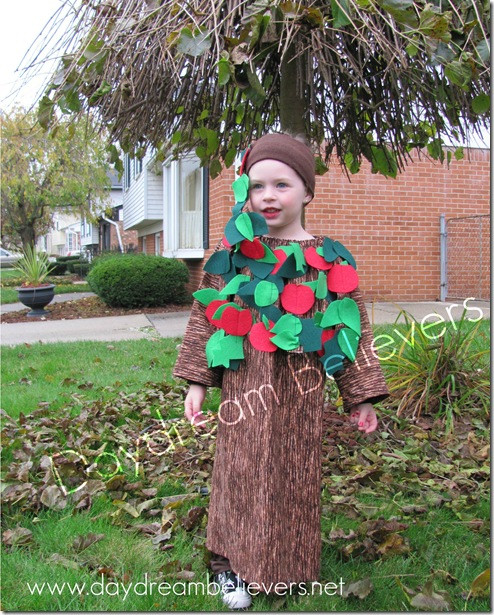Best ideas about DIY Apple Costume
. Save or Pin Daydream Believers November 2011 Now.