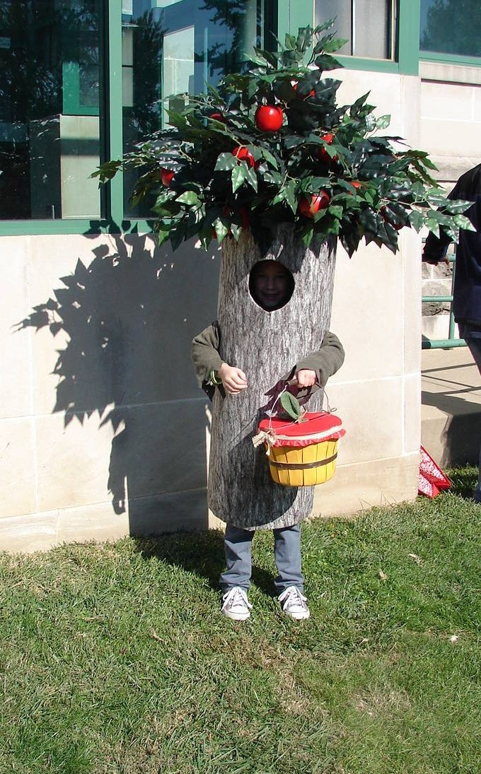Best ideas about DIY Apple Costume
. Save or Pin Crab Apple tree costume we made for our granddaughter Now.