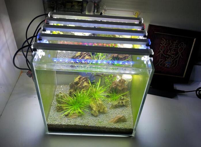 Best ideas about DIY Aquarium Led Lighting
. Save or Pin DC 12V 4W DIY Marine Aquarium LED Lighting Decorative Fish Now.