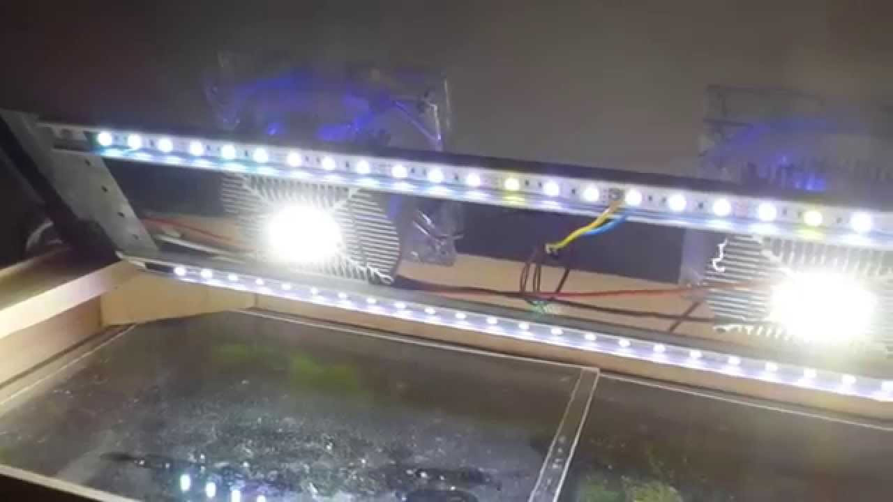 Best ideas about DIY Aquarium Led Lighting
. Save or Pin DIY aquarium LED lighting led chip 20W RGB LED Strip Now.