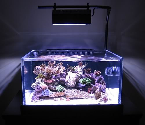 Best ideas about DIY Aquarium Lights
. Save or Pin Fish tank stand i built myself For a future reef Aquariums Now.