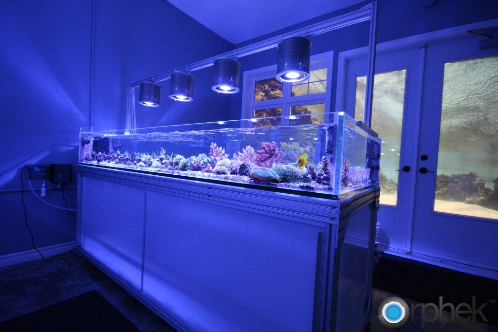 Best ideas about DIY Aquarium Lights
. Save or Pin Aquarium LED Lighting s Now.