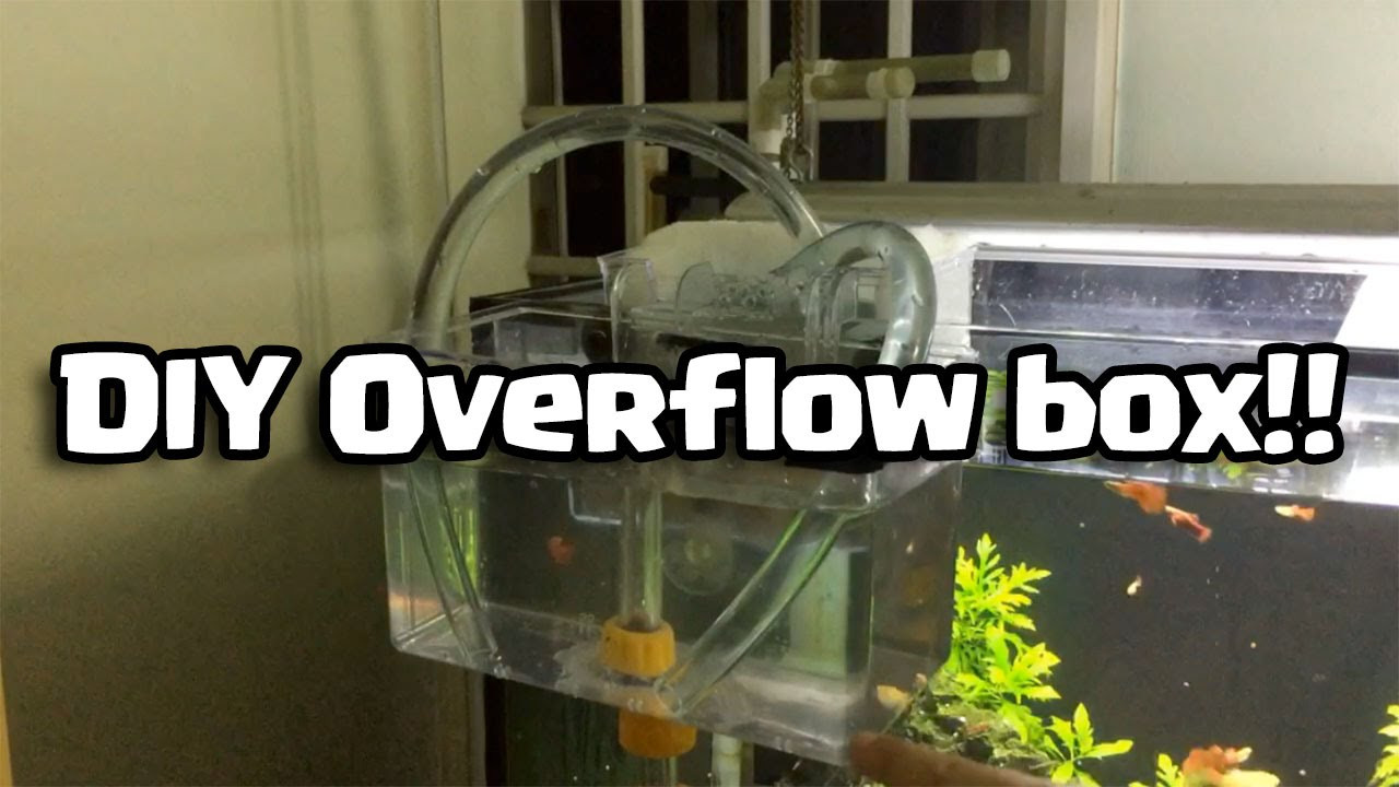 Best ideas about DIY Aquarium Overflow Box
. Save or Pin DIY Overflow box Do it yourself Now.
