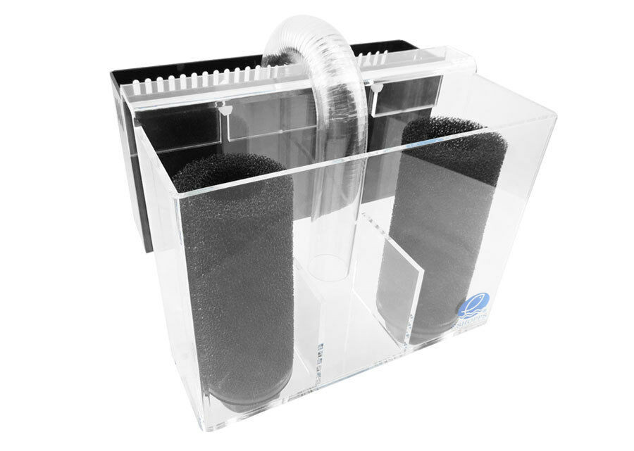 Best ideas about DIY Aquarium Overflow Box
. Save or Pin Aquarium Overflow Pre Filter Box Eshopps PF 1800 Now.