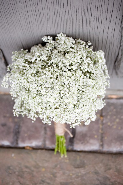 Best ideas about DIY Baby Breath Bouquet
. Save or Pin Baby’s Breath Now.