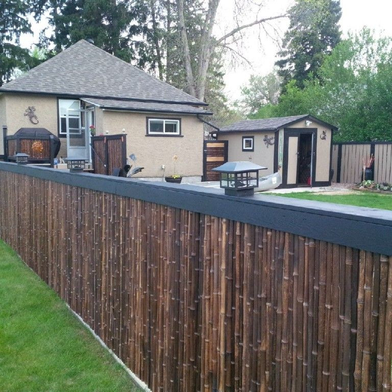 Best ideas about DIY Backyard Fence . Save or Pin Bamboo Innovations Now.