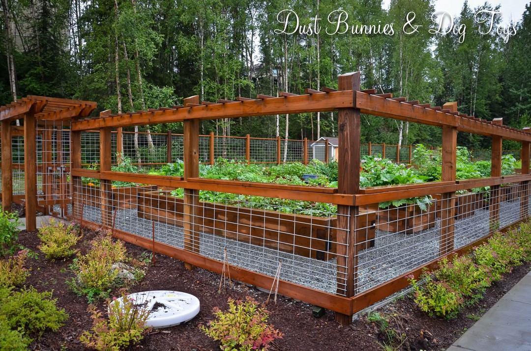 Best ideas about DIY Backyard Fence . Save or Pin Cheap and Easy DIY How to Make Raised Garden Beds With Now.