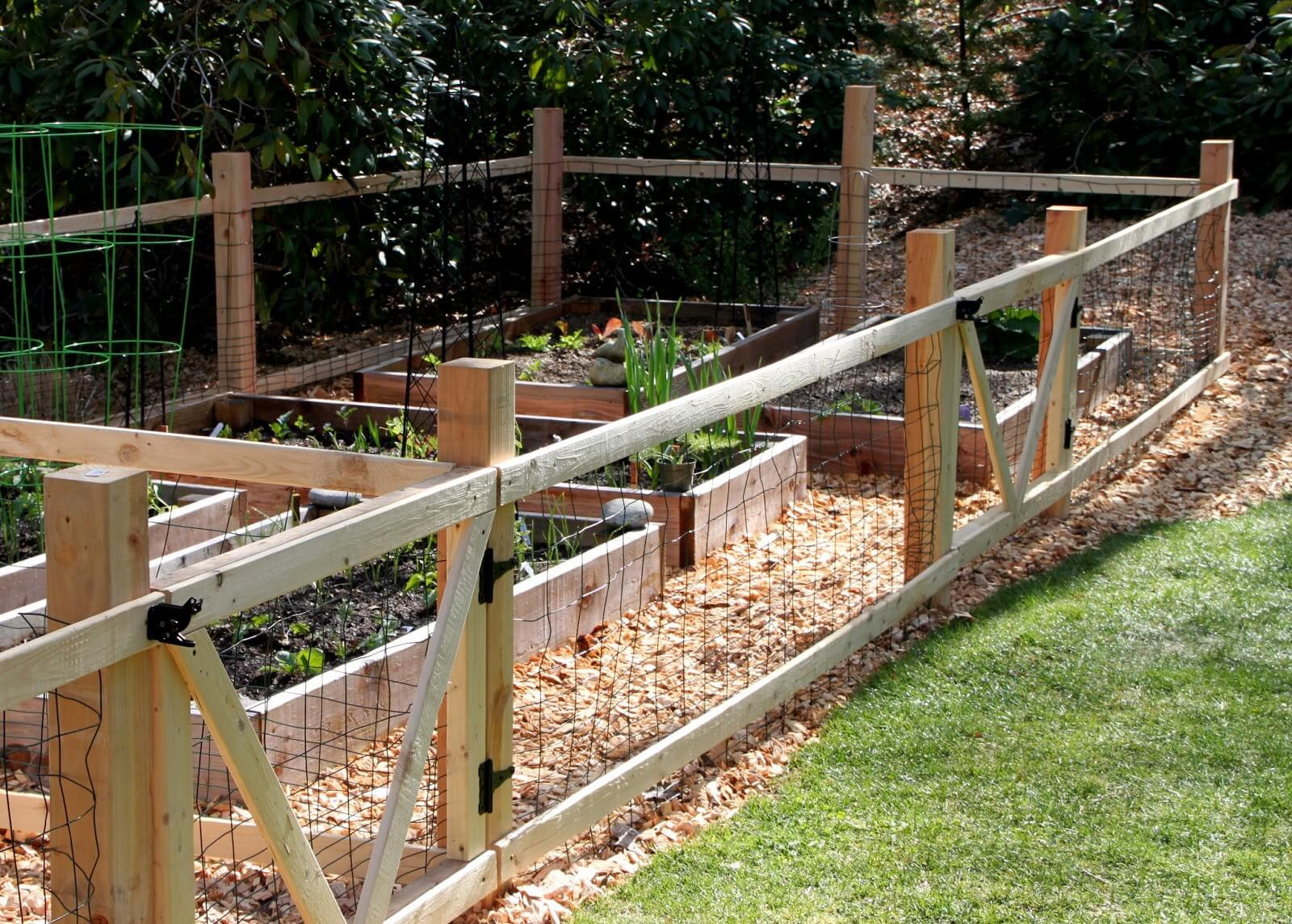 Best ideas about DIY Backyard Fence . Save or Pin 18 DIY Garden Fence Ideas to Keep Your Plants Now.