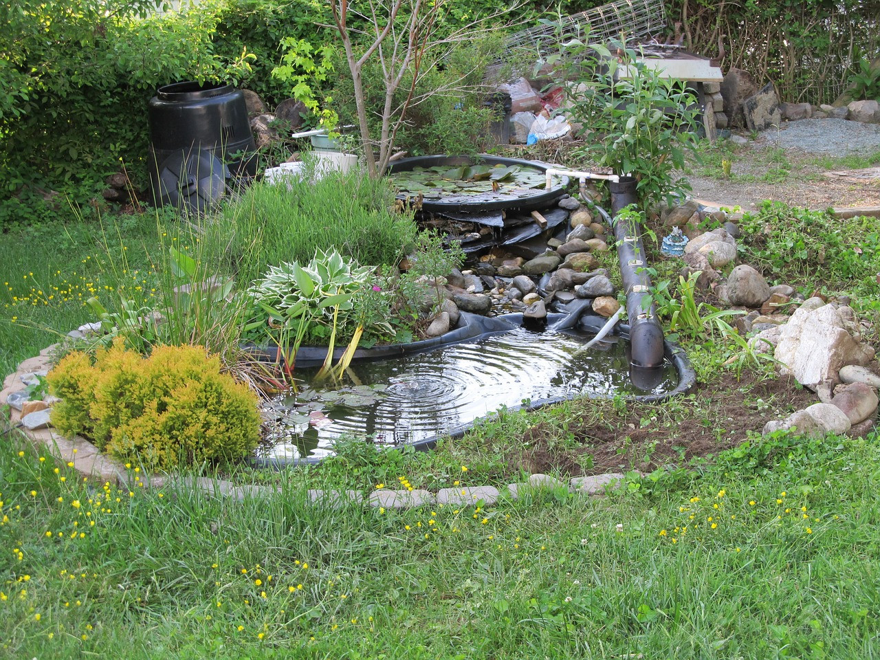 Best ideas about DIY Backyard Pond
. Save or Pin DIY Build a Natural Fish Pond in Your Backyard Now.