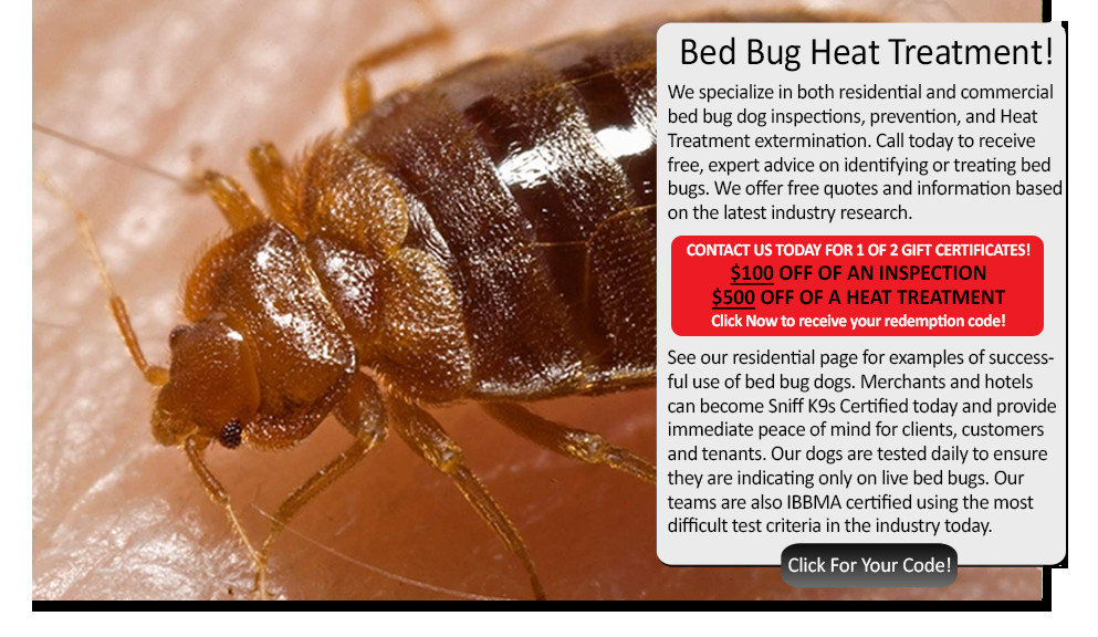 Best ideas about DIY Bed Bug Heat Treatment
. Save or Pin Tricks to find out if you have bed bugs centipede Now.