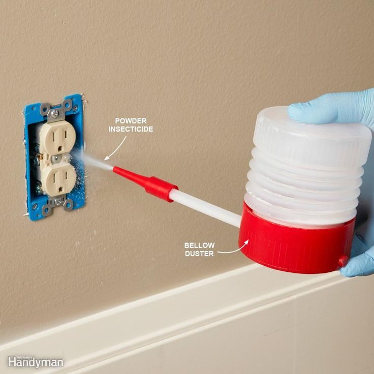 Best ideas about DIY Bed Bug Interceptors
. Save or Pin Best 25 Bed bug reme s ideas on Pinterest Now.