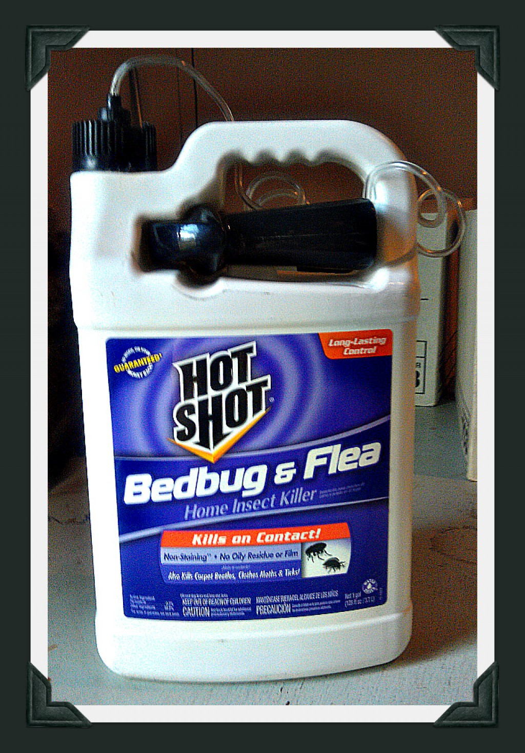 Best ideas about DIY Bed Bug Removal
. Save or Pin Hot Shot Bed Bug and Flea Spray Review Now.