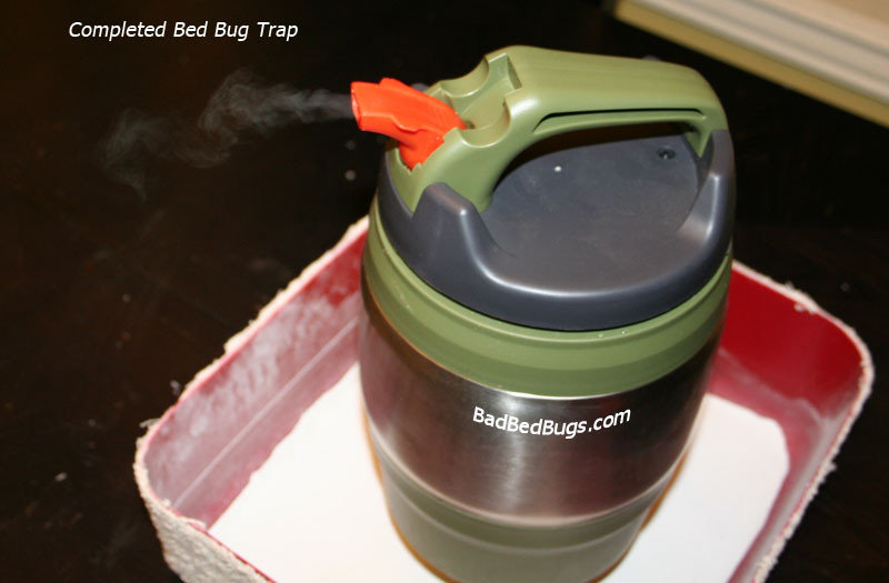 Best ideas about DIY Bed Bug Traps
. Save or Pin How to Make a Bed Bug Trap Now.