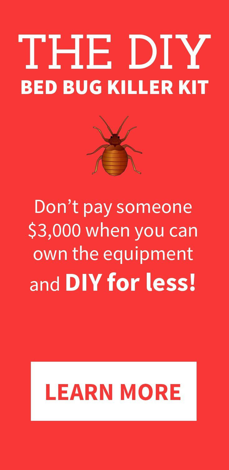 Best ideas about DIY Bed Bugs Extermination
. Save or Pin Details about PestPro 100 Bed Bug Package Heat Treatment Now.