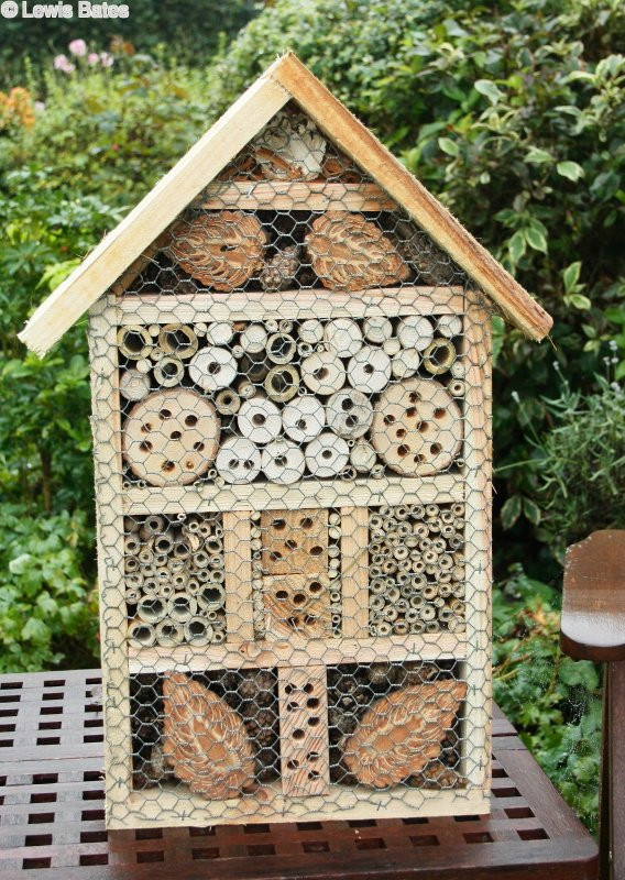Best ideas about DIY Bee Box
. Save or Pin Woodwork Bee Boxes The Lewbat Pages Now.