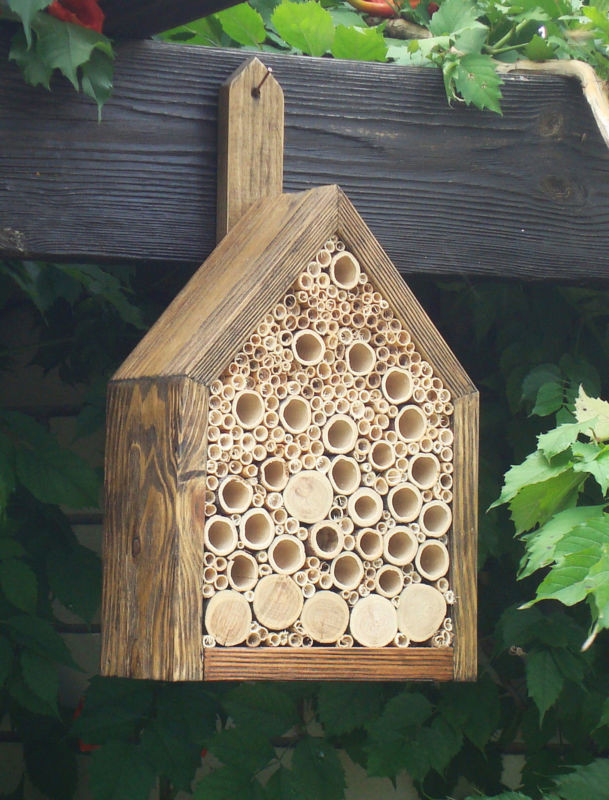 Best ideas about DIY Bee Box
. Save or Pin DIY Tropical Bamboo Crafts That You Should Not Miss Now.