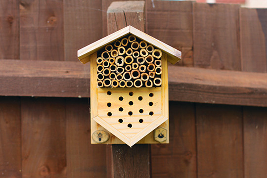 Best ideas about DIY Bee Box
. Save or Pin Make this Wild bee boxes — Grid Magazine Now.