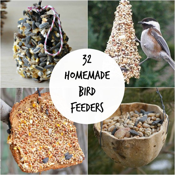 Best ideas about DIY Bird Feeder For Kids
. Save or Pin 32 Easy Homemade Bird Feeders Happy Hooligans Now.